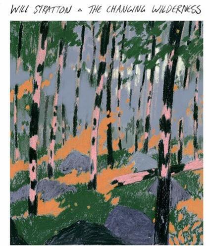 The Changing Wilderness - Vinile LP di Will Stratton