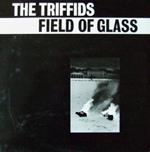 Field of Glass Ep