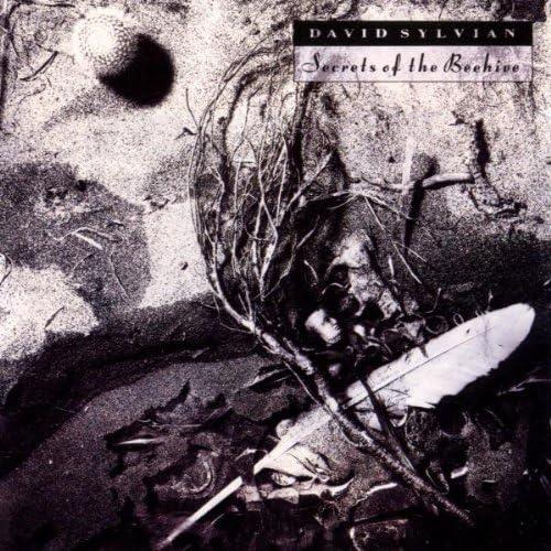 Secrets Of The Beehive (2003 Remastered) - Vinile LP di David Sylvian