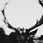 Ihsahn (Hard Book)