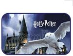 Harry Potter Hedwig carpet Warner Bros.