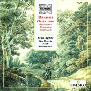 Horn Trio - CD Audio di Johannes Brahms