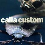 Custom (Remix)
