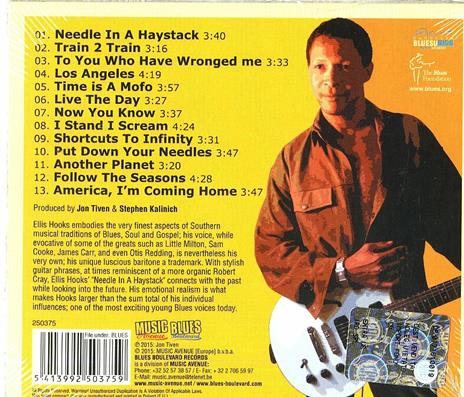 Needle in a Haystack - CD Audio di Ellis Hooks - 2