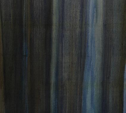 Blue Veil - CD Audio di Mirielle Capelle