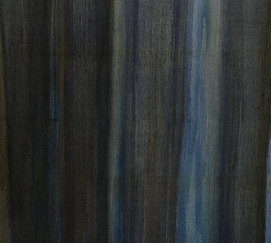 Blue Veil - CD Audio di Mirielle Capelle