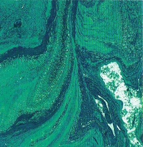 Serious Beats 93 - CD Audio