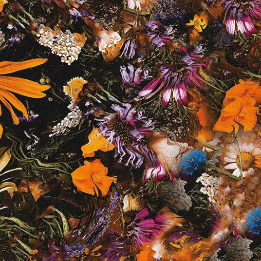 Greetings From Earth - Vinile LP di Crackups