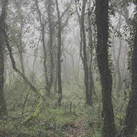 El Bosque De La Niebla - Vinile LP di Orbe