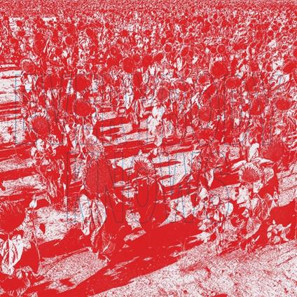 Everybody Knows - CD Audio di Bony King of Nowhere