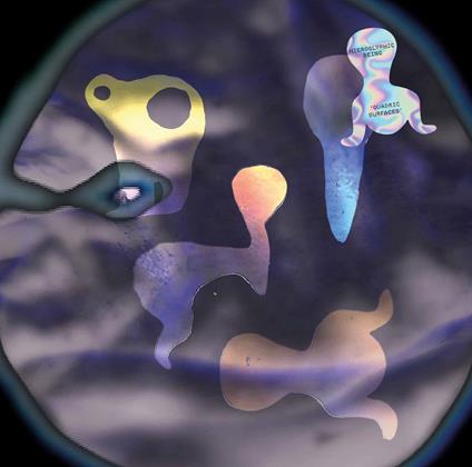 Qudaric Surfaces - Vinile LP di Hieroglyphic Being