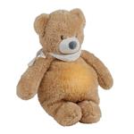 Luce Notturna Peluche Orso Sleepy Beije