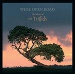 Wide Open Road - CD Audio di Triffids