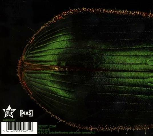 Elytral - CD Audio di Mary Epworth - 2