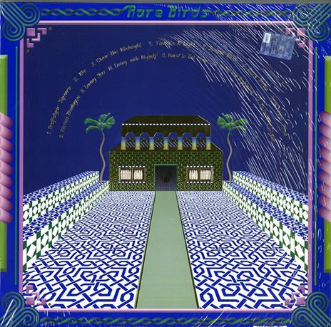 Rare Birds - Vinile LP di Jonathan Wilson - 2