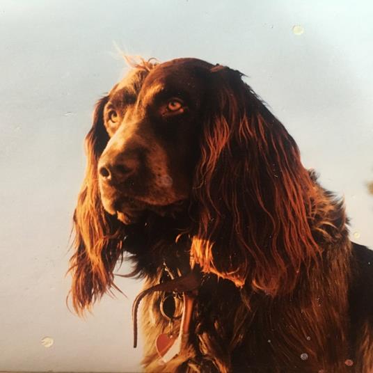 Size of the Night - CD Audio di Peter Kernel