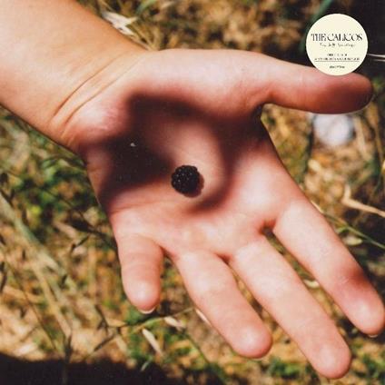 Soft Landing - Vinile LP di Calicos