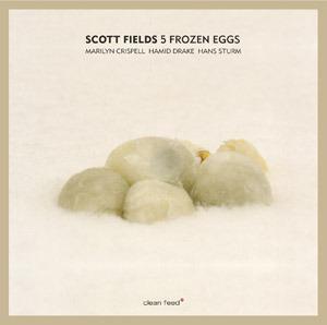 5 Frozen Eggs - CD Audio di Scott Fields