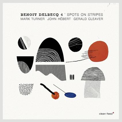 Spots on Stripes - CD Audio di Benoit Delbecq