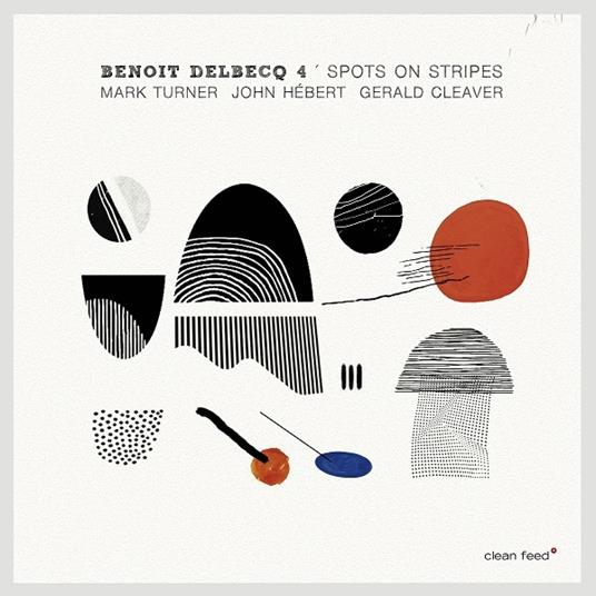 Spots on Stripes - CD Audio di Benoit Delbecq
