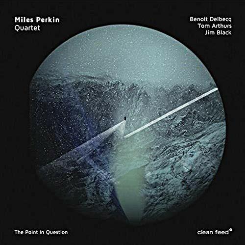 Point in Question - Vinile LP di Miles Perkin