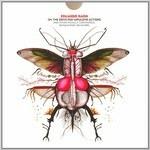 On the Drive for Impulsive Actions - CD Audio di Eduardo Raon