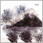 Coclea