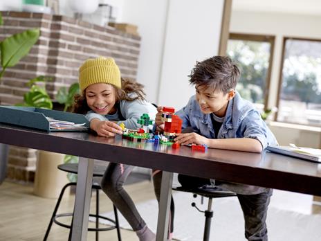 LEGO Minecraft (21153). La fattoria della lana - 2