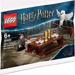 LEGO 30420 Harry Potter Harry Potter And Hedwig