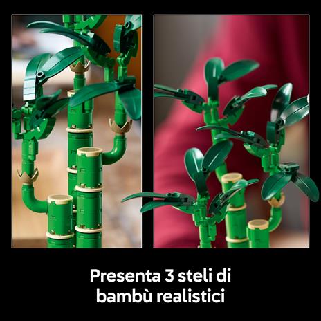 LEGO Botanicals (10344). Bambù del buon auspicio - 3