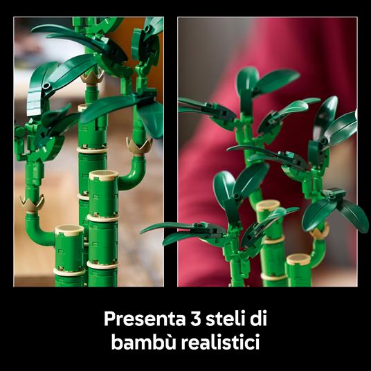 LEGO Botanicals (10344). Bambù del buon auspicio - 3