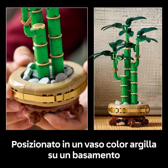 LEGO Botanicals (10344). Bambù del buon auspicio - 4