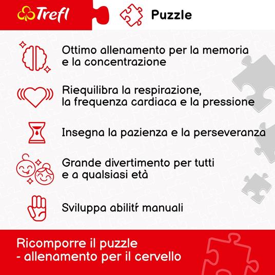 Puzzle da 1000 Pezzi. Gufi - 3