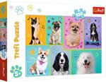 Puzzle da 100 Pezzi - Nel Mondo dei Cani