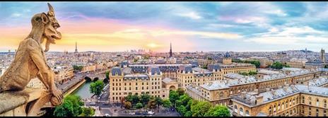 Puzzle Panorama da 1000 Pezzi . View From the Cathedral of Notre-Dame de Paris - 3