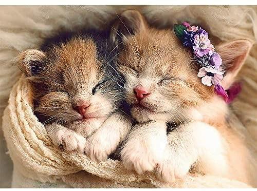 Puzzle da 500 Pezzi - Sleeping Kittens - 2