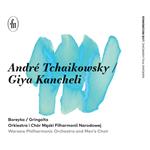 Boreyko/Gringolts/Warsaw Philharmonic Orchestra/+ - Concerto Classico / Libera Me