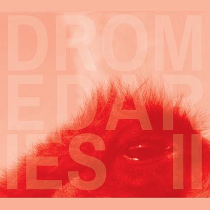 Dromedaries II - CD Audio di Keir Neuringer