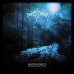 Winter Forest / Legenda Revontulet