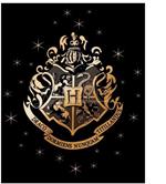 Harry Potter Hogwarts coral blanket Warner Bros.