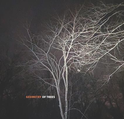 Geometry Of Trees - CD Audio di Tomeka Reid