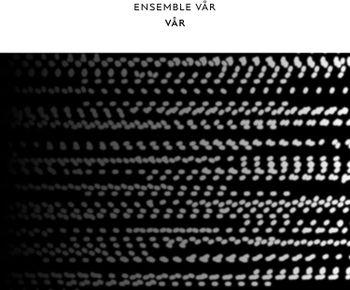 Var - CD Audio di Ensemble Var