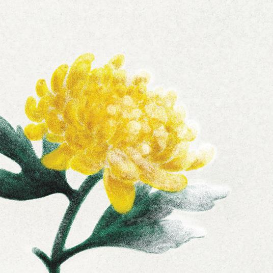 Spring Snow - Vinile LP