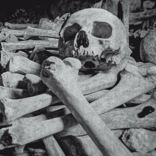 Necros Obscuritas - CD Audio di Encoffination