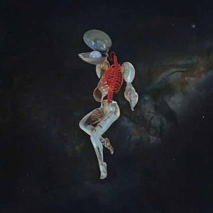 Fossil Garden - Vinile LP di Hail Spirit Noir