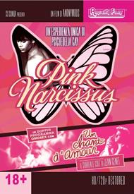 Pink Narcissus - Un chant d'amour (DVD)
