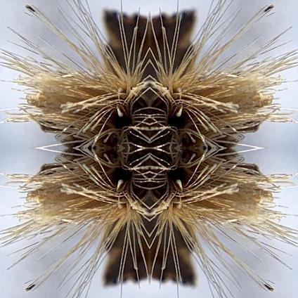 Sutra - Vinile LP di Yakuza