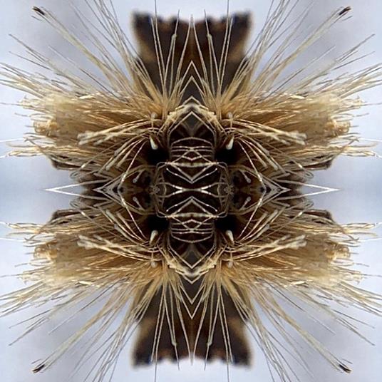 Sutra - Vinile LP di Yakuza