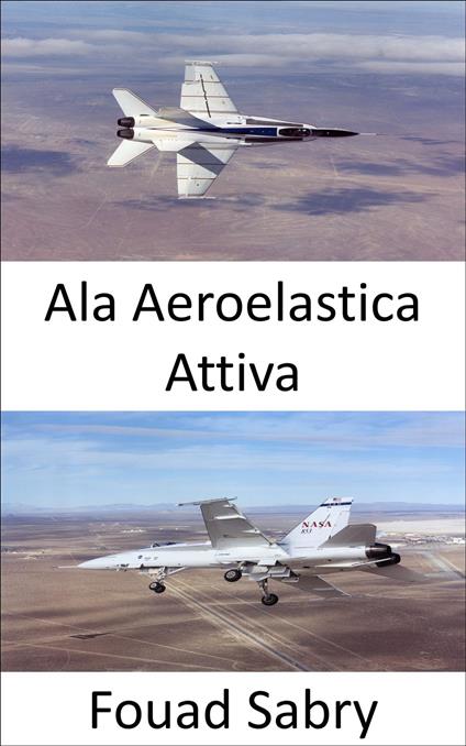 Ala Aeroelastica Attiva - Fouad Sabry,Cosimo Pinto - ebook