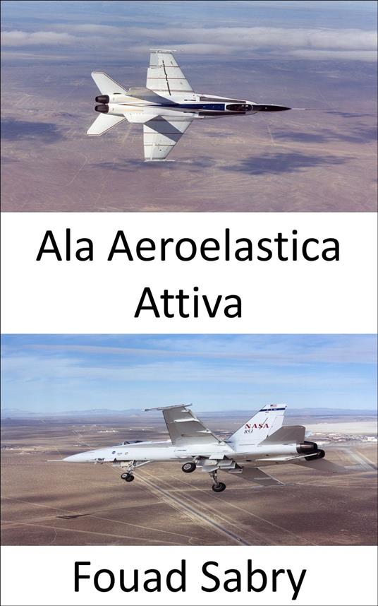 Ala Aeroelastica Attiva - Fouad Sabry,Cosimo Pinto - ebook
